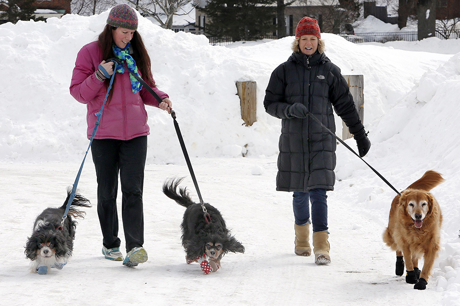 Two women friends walking their dogs out on a snowy day. 
