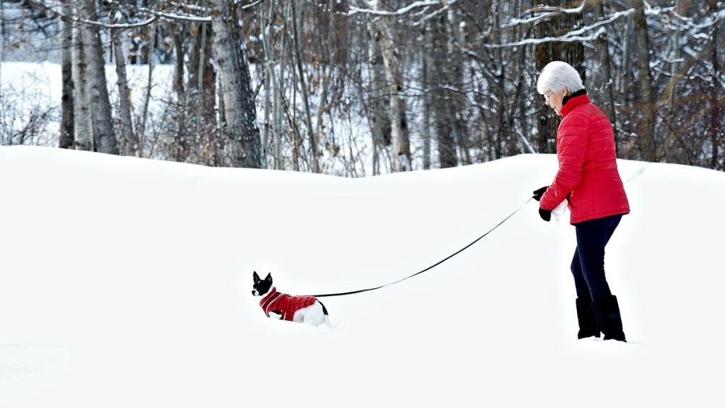 Woman and dog in matching red jackets walking in snow after winter storm.